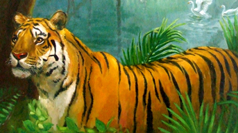 Royal Bengal Tiger at Sundarban